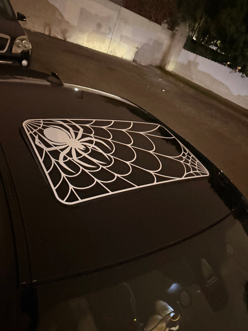 Spiderweb Sunroof Decal